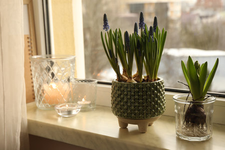 Beautiful bulbous plants and candles on windowsill indoors. Spring timeの写真素材