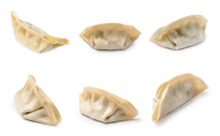 Set of uncooked gyoza on white backgroundの写真素材