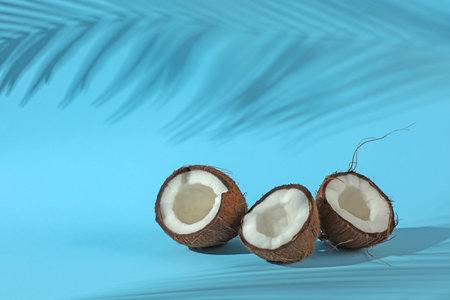 Fresh coconuts and shadow cast by tropical palm on light blue background. Space for text