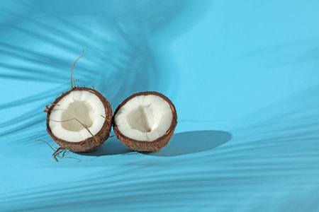 Fresh coconut and shadow cast by tropical palm on light blue background. Space for text