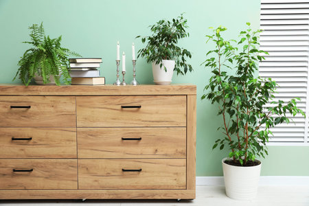 Wooden cabinet with houseplants and other decor near green wall indoors