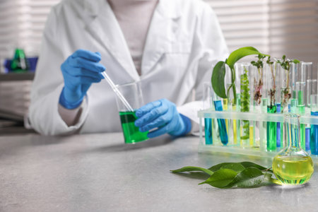 Biochemistry. Scientist working with plants and liquids at grey table in laboratory, closeupの写真素材