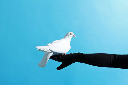 Woman with beautiful white dove on light blue background, closeup