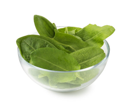 Fresh green sorrel leaves in bowl isolated on whiteの写真素材
