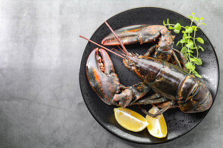 Raw lobster, pieces of lemon and microgreens on grey textured table, top view. Space for textの写真素材