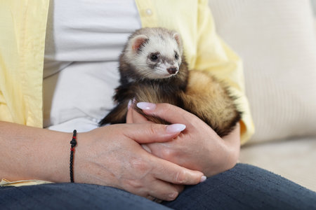 Woman with cute ferret, closeupの写真素材