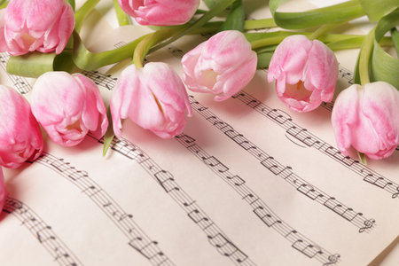 Beautiful tulips on sheet with music notes, closeupの写真素材