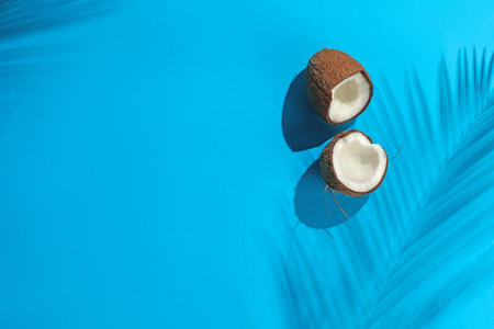 Fresh coconut and shadow cast by tropical palm on light blue background, top view. Space for textの写真素材
