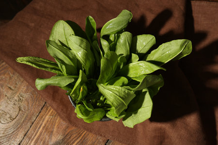Fresh sorrel leaves in bowl on wooden table, top viewの写真素材