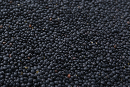 Raw black lentils as background, closeup viewの写真素材