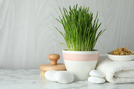 Spa composition with wheatgrass on white marble table. Space for textの写真素材