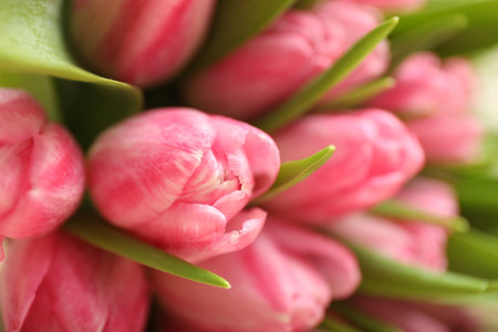 Bouquet of beautiful tulips on blurred background, closeup. Space for textの写真素材