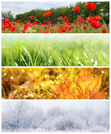 Four seasons of year. Collage with pictures of nature in winter, summer, fall and springの写真素材