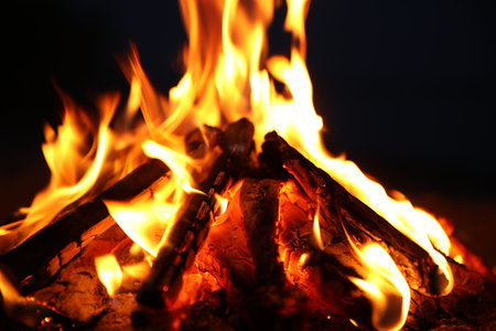 Beautiful bonfire with burning firewood outdoors at night, closeup