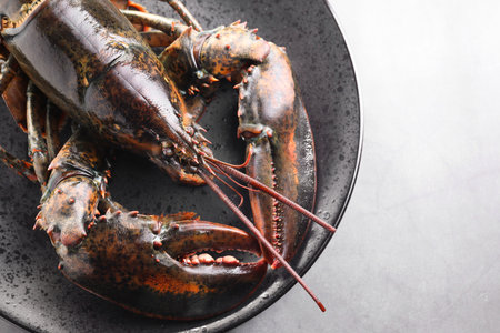 One raw lobster on grey table, top view. Space for textの写真素材