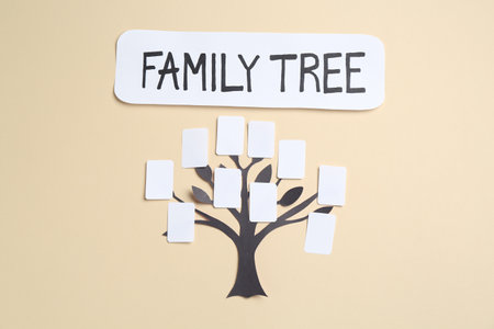 Family tree on beige background, top viewの写真素材