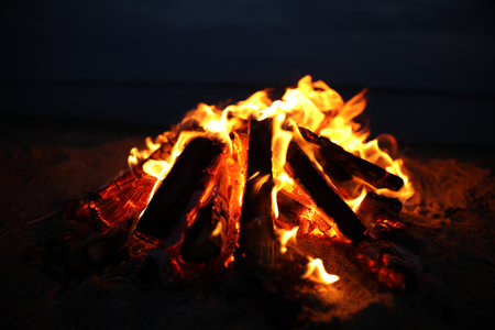 Beautiful bonfire with burning firewood on beach at nightの写真素材