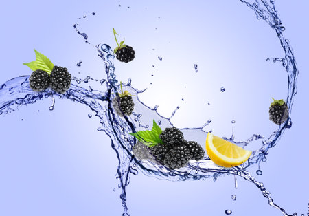 Fresh blackberries, lemon and splash of water on light blue backgroundの写真素材