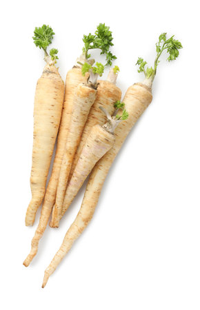 Many fresh parsley roots isolated on white, top viewの写真素材
