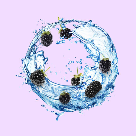 Fresh blackberries and water splash on pale violet backgroundの写真素材