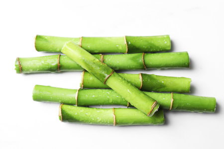 Wet cut bamboo stems on white background, flat layの写真素材
