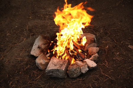 Beautiful bonfire with pile of burning firewood outdoors