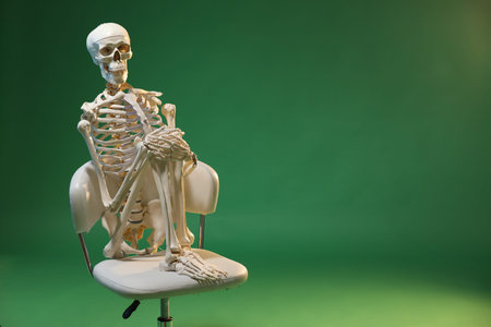Artificial human skeleton model sitting on chair against green background, space for textの写真素材