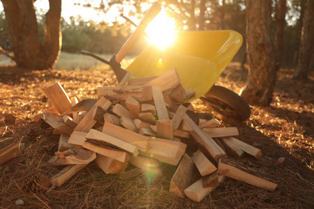 Cut firewood and axe near wheelbarrow in forest