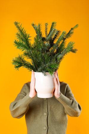 Woman with bouquet of fir branches on orange background.の写真素材
