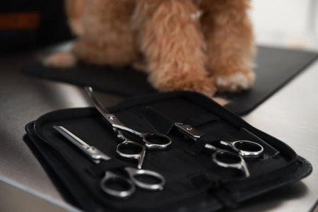 Cute dog and case with scissors in grooming salon, closeupの写真素材