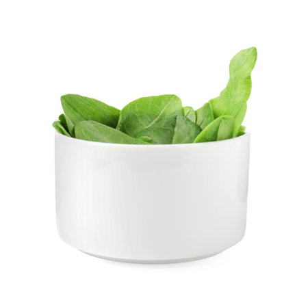 Fresh green sorrel leaves in bowl isolated on whiteの写真素材