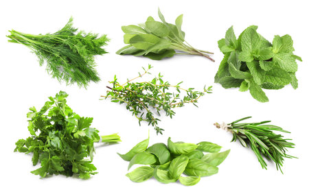 Different aromatic herbs on white background, collageの写真素材