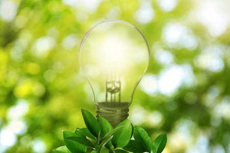 Glowing light bulb and lush green leaves under bright sunlight. Eco-friendly energyの写真素材