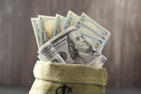 Money bag with dollar banknotes on blurred background, closeup