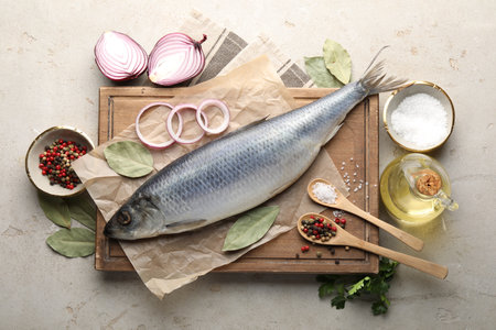 Salted herring and spices on light gray table, flat layの写真素材