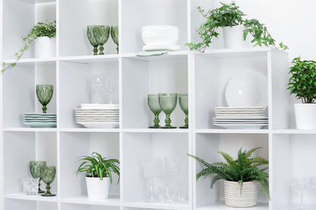 Clean glasses, plates and green houseplants on shelves near white wall indoorsの写真素材