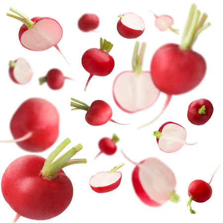 Fresh ripe radishes falling on white backgroundの写真素材