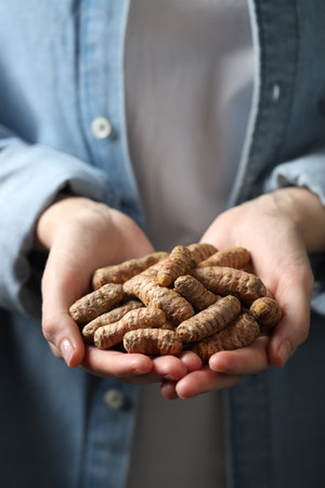 Woman holding raw turmeric roots, closeup viewの写真素材