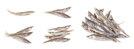 Dried smelt fish isolated on white, setの写真素材