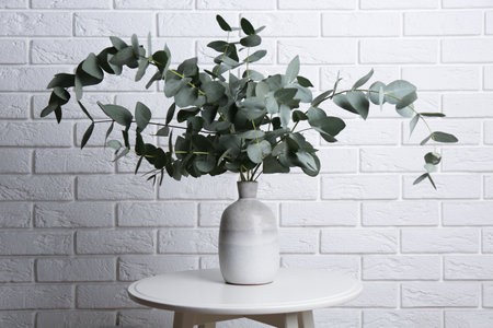 Green eucalyptus branches in vase on table near white brick wall indoorsの写真素材
