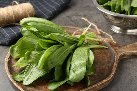 Bunch of fresh sorrel on grey table, closeupの写真素材