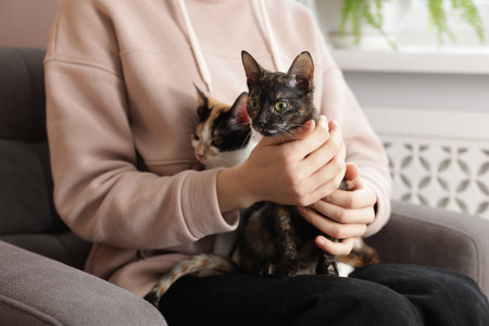 Woman with cute calico cats at home, closeupの写真素材