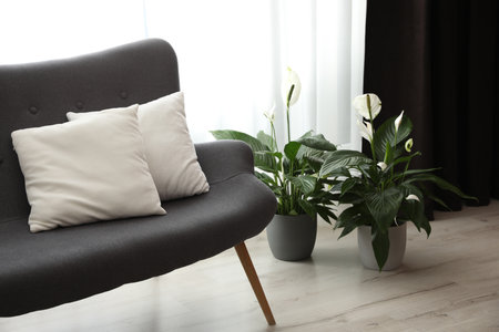Comfortable sofa near window with elegant curtains in roomの写真素材