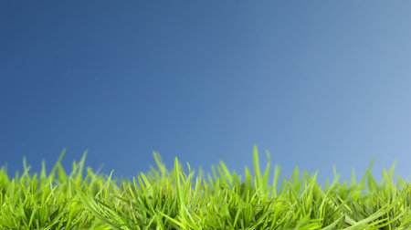 Lush green grass growing under blue sky. Banner design