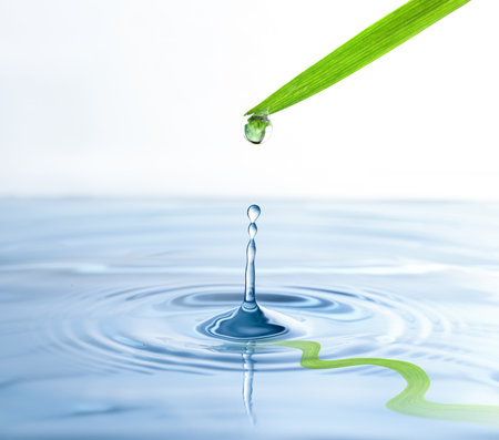 Drops falling from green leaf into water on white background, closeupの写真素材