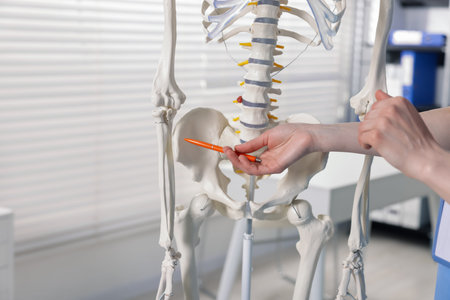Doctor pointing at parts of human skeleton model in clinic, closeup