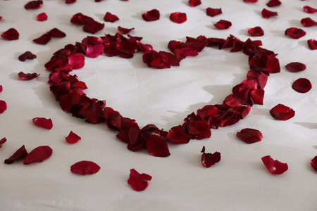 Heart made with rose petals on bed, closeupの写真素材