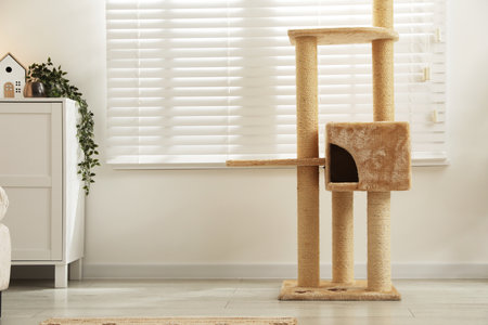 Stylish cat tree and chest of drawers in living roomの写真素材