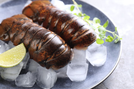 Raw lobster tails with microgreens, lime and ice on grey table, closeupの写真素材