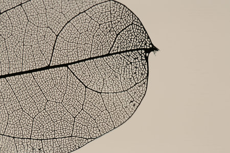 One beautiful skeleton leaf on beige background, macro view. Space for text